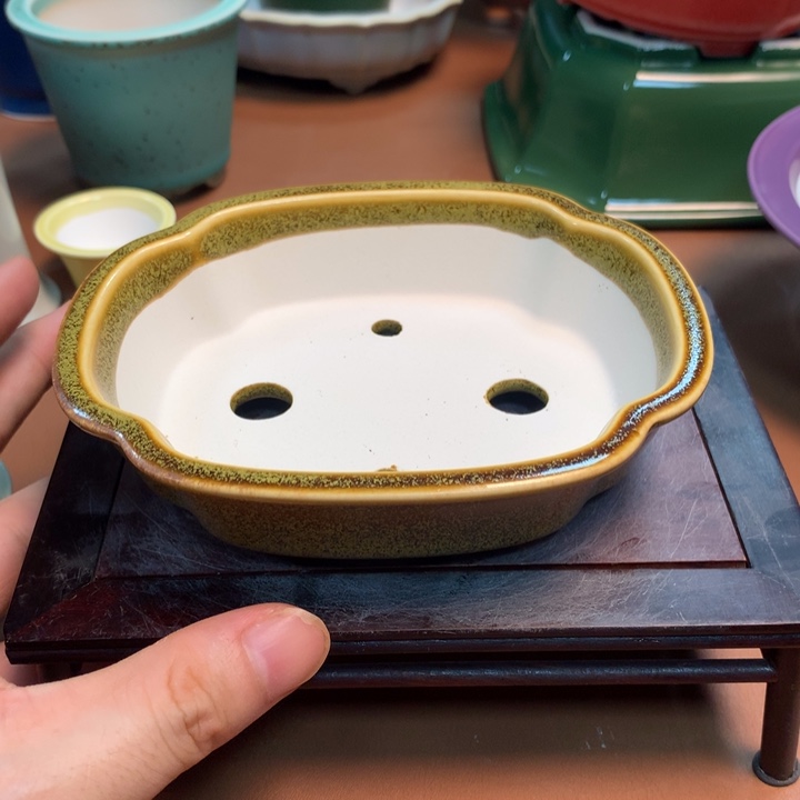 的微博视频我想我是