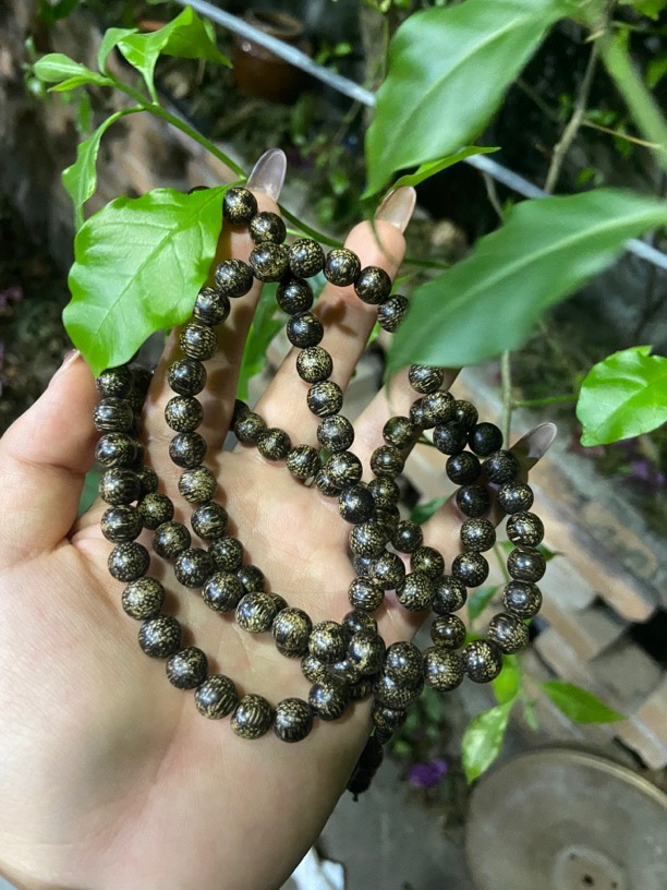 【土特产菇13】净含量37g起