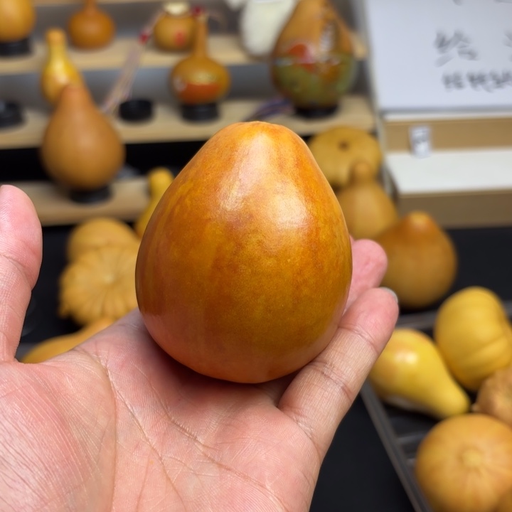 福利福利初五发货