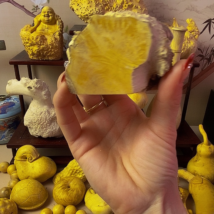 虫***宿黄杨木等多种木材