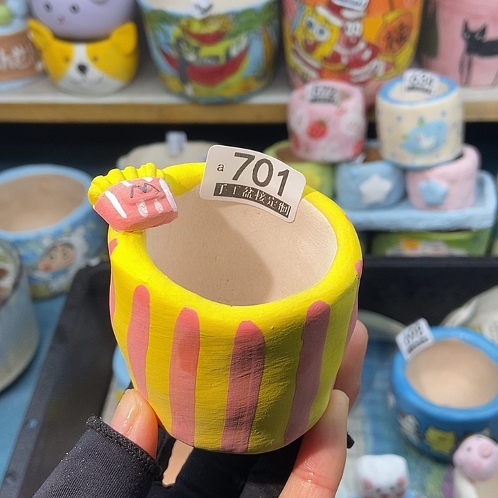 大舅生石花肉锥多肉701