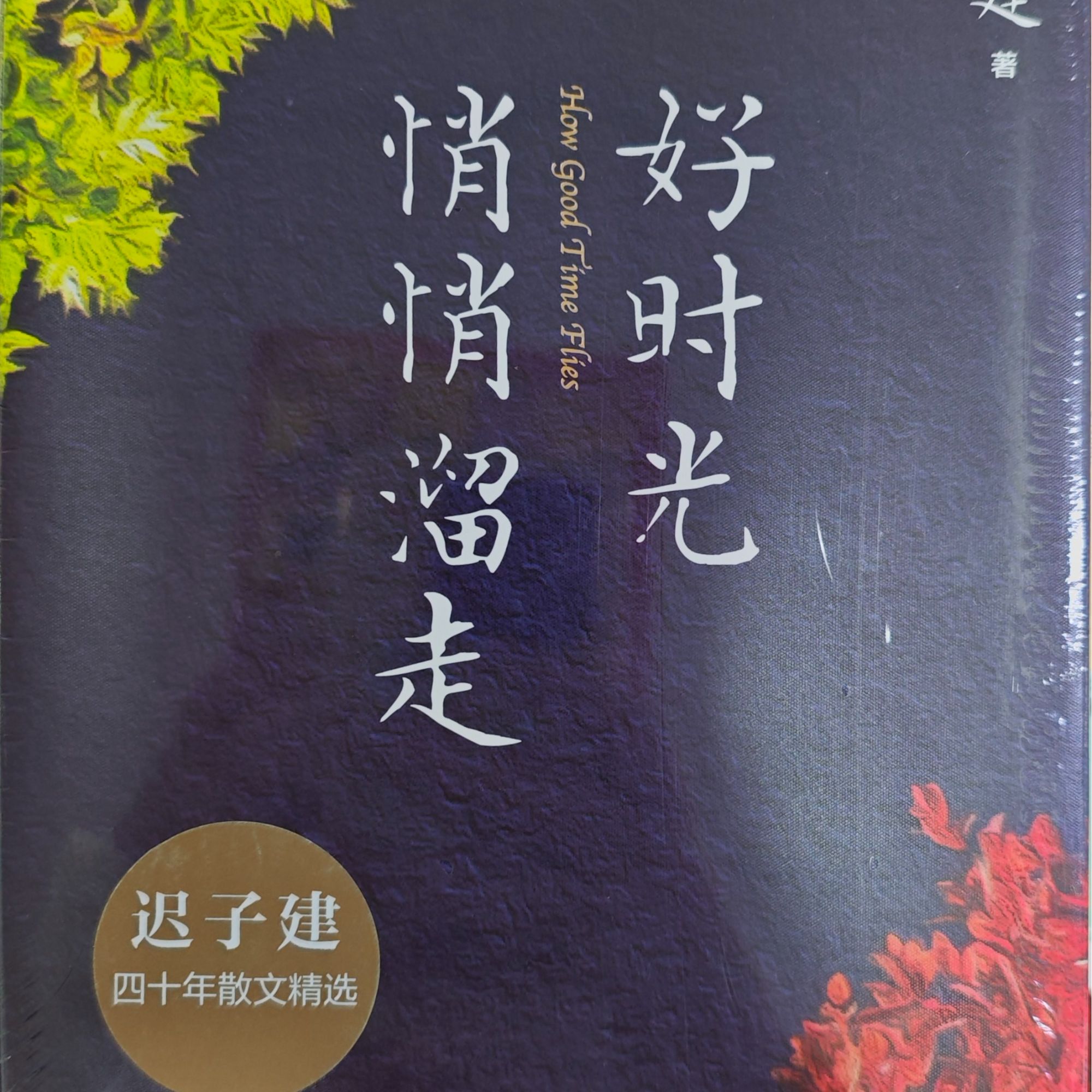 好时光悄悄溜走 迟子建