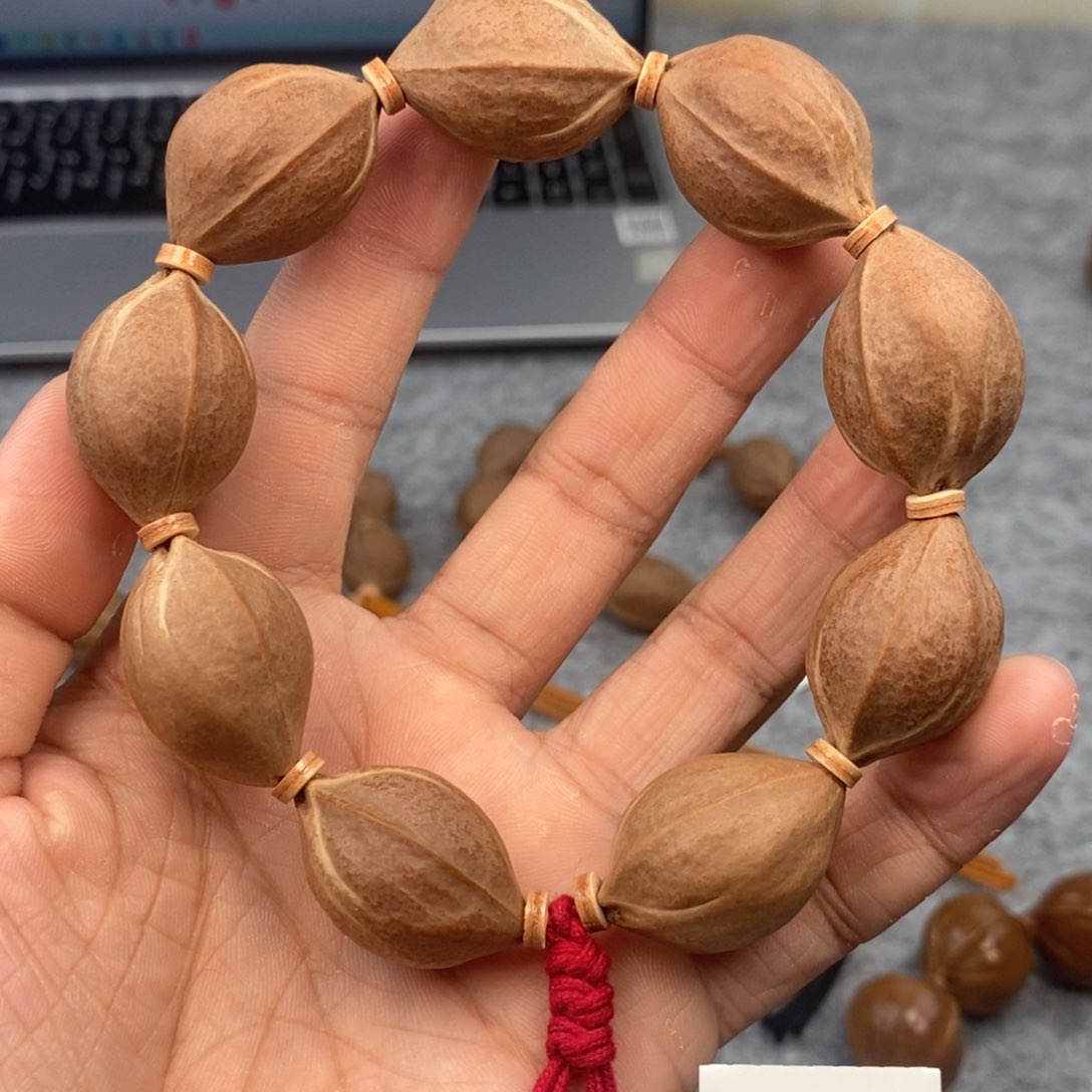 橄榄核手串/手链19.5/28鲨鱼背