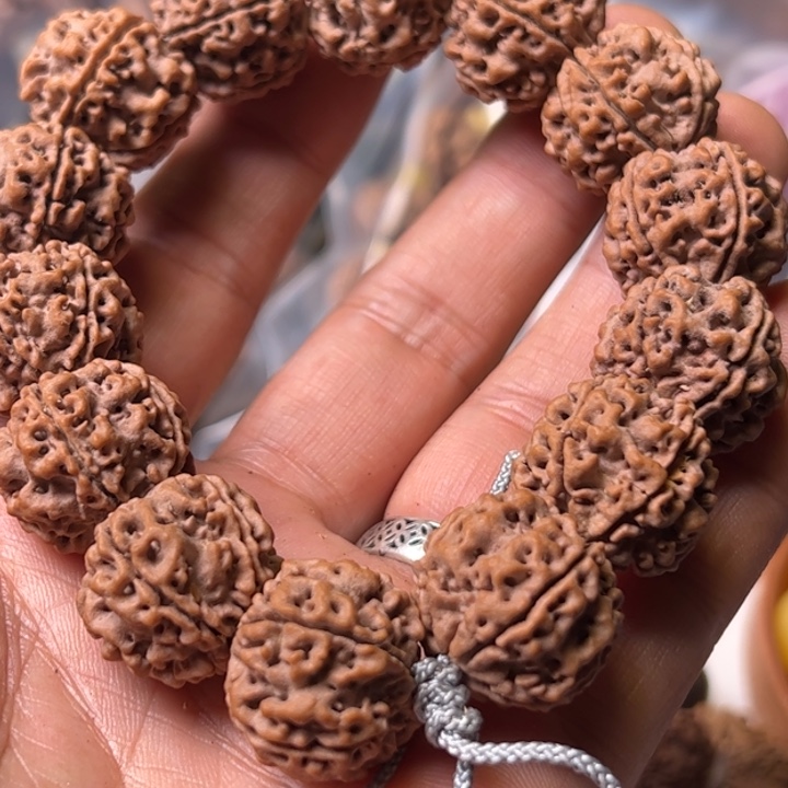 金刚菩提手串高山铁籽21粗筋双龙