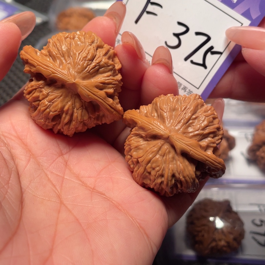文玩核桃把件375号白狮子42
