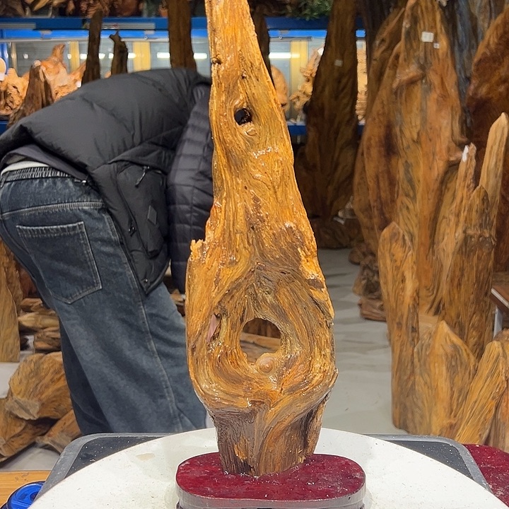 松木（琥珀木）真**性