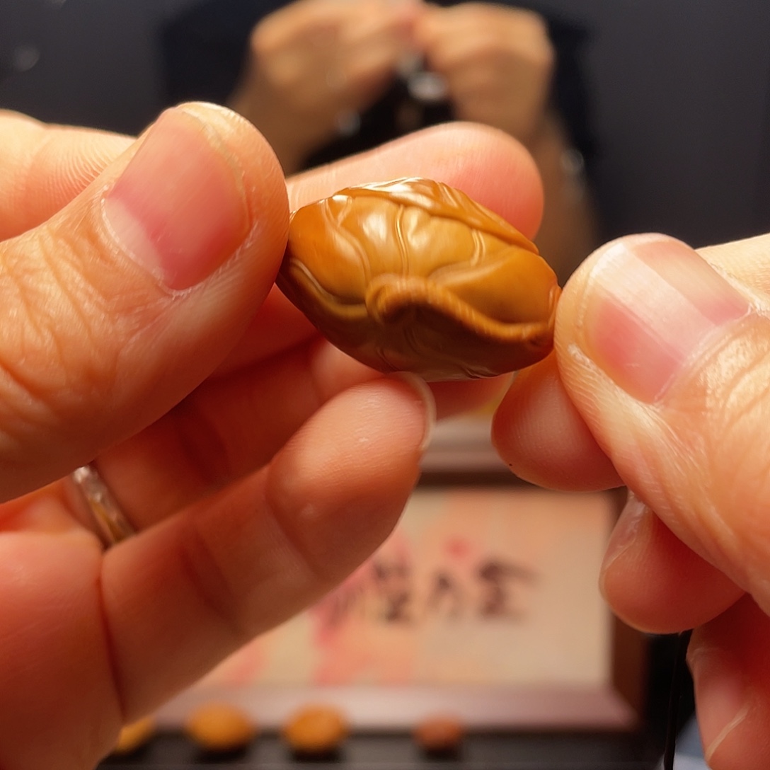 橄榄油等多种营养