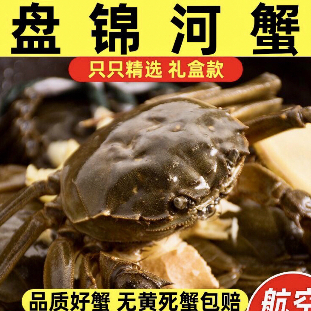 鲜活盘锦河蟹 1.3-1.6两2斤/3斤 (15-23只装)公蟹
