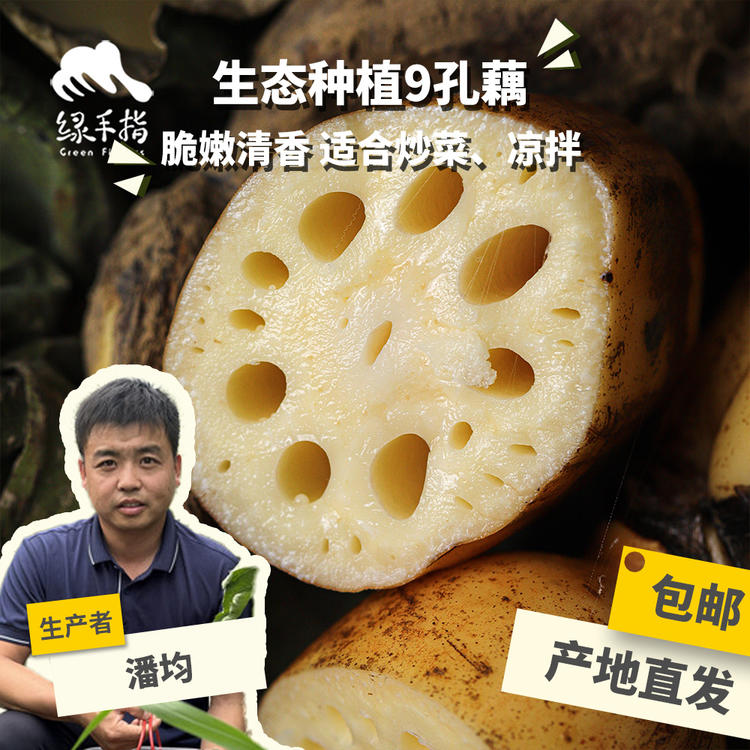 生态脆莲藕1.5kg鄂莲5号绿手指份额农园