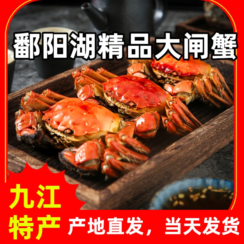 【鄱阳湖大闸蟹】【精品活蟹】6两/只【公蟹】，全国包邮，死蟹包赔