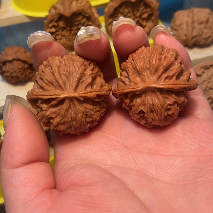 官方网站发布信息