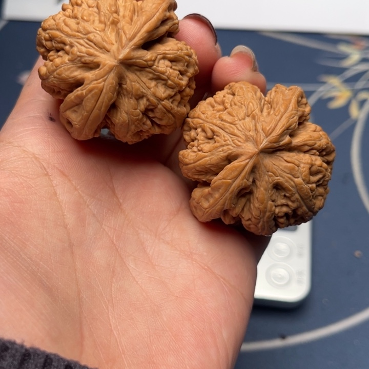 文玩核桃把件粗筋42