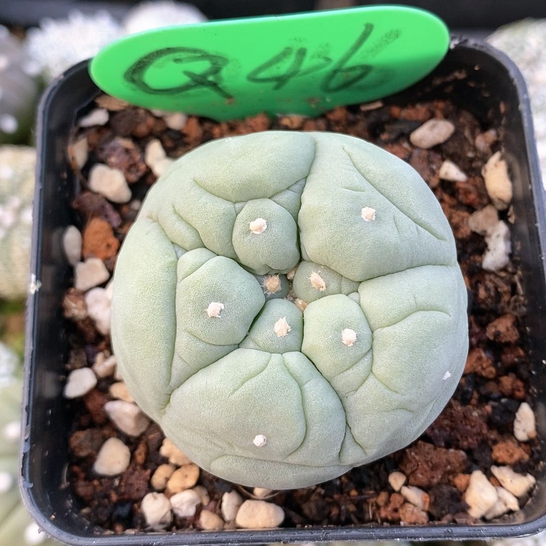 福利待遇也不错的呢哈