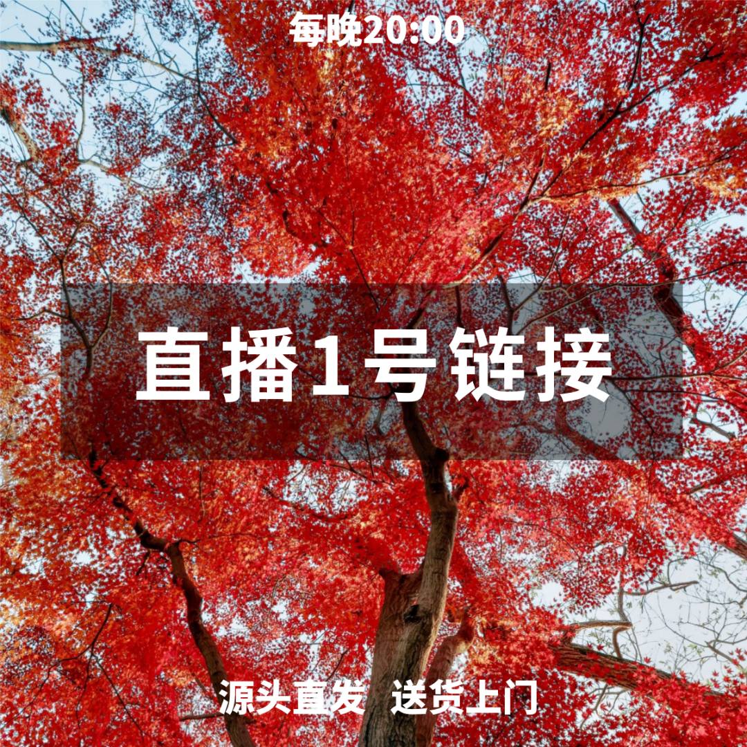 【枫之炫园林】一物一拍所见即所得庭院造景枫树鸡爪槭大苗地栽盆栽