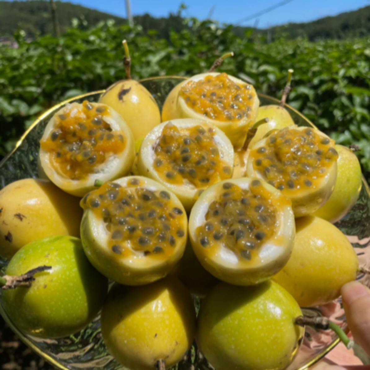 纯甜黄金百香果一盒（4个）