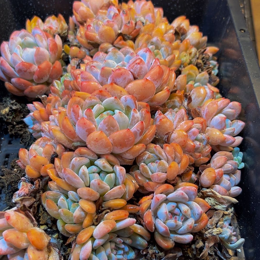 166的人了吧哈哈哈哈哈哈哈哈哈哈哈哈哈