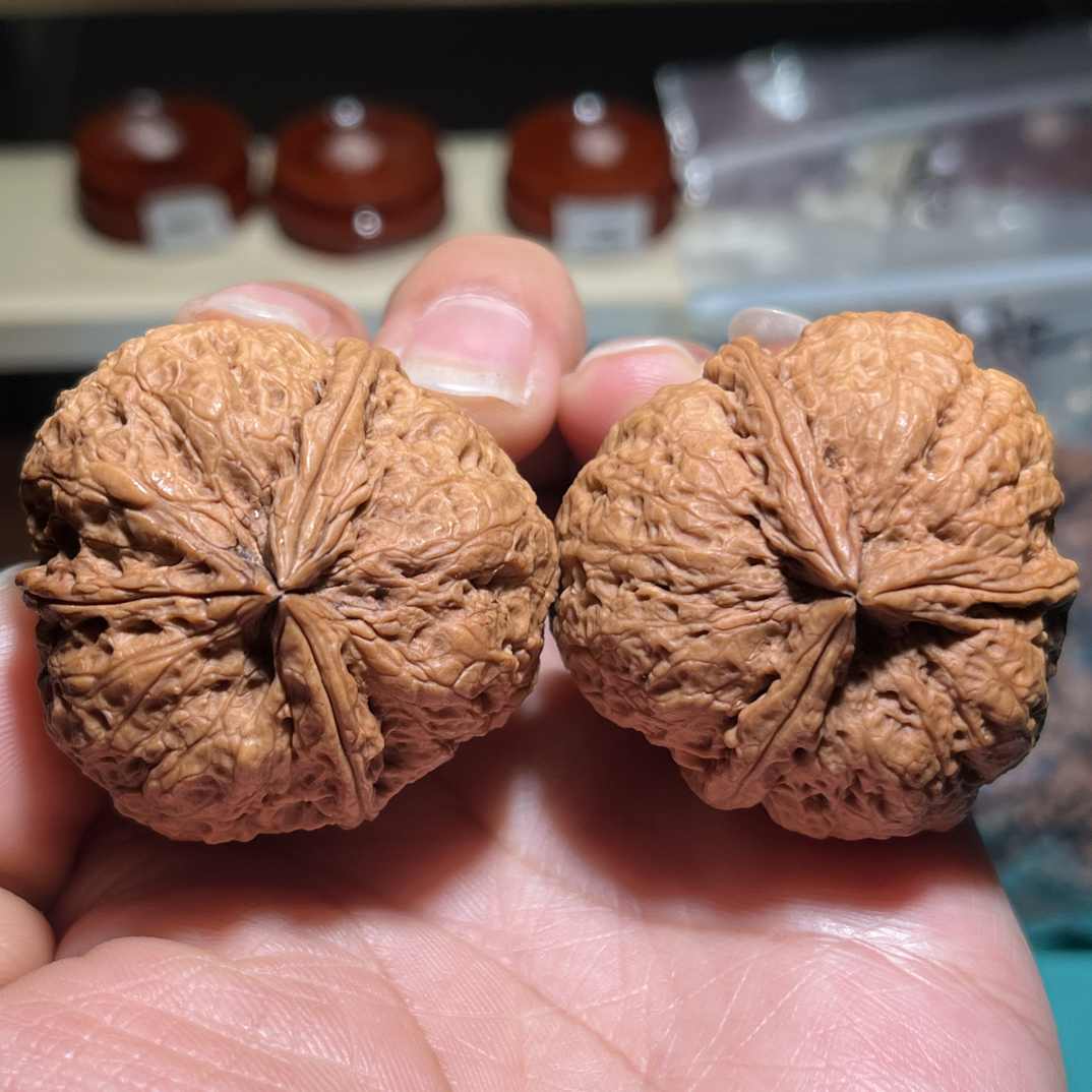 文玩铁核桃五爪金龙三棱41尺53克