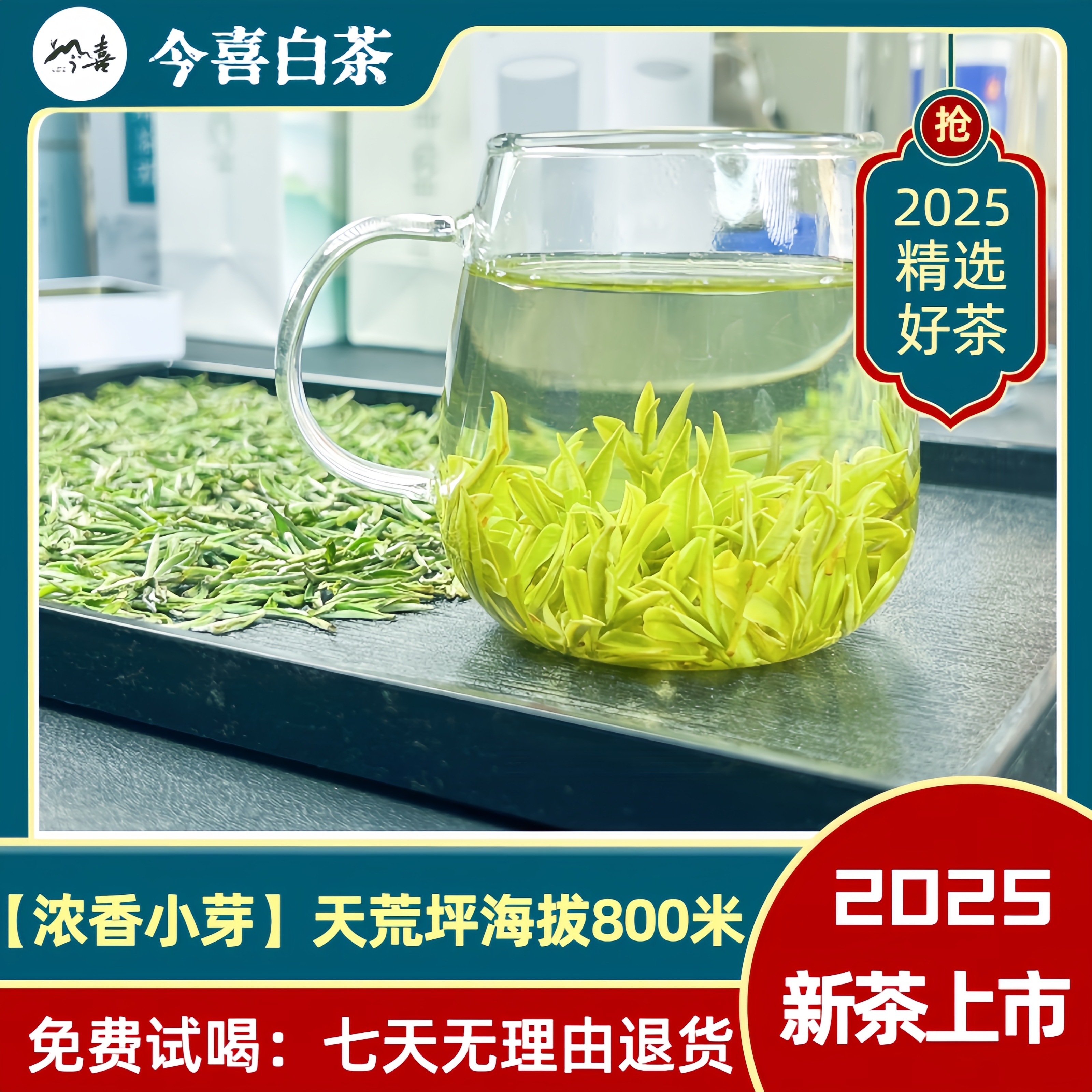 【浓香小芽】安吉白茶天荒坪产区海拔800米高山清香原产地佳品