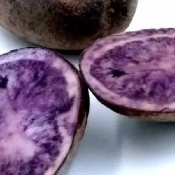 云南高寒山区乌洋芋紫皮紫芯奇彩花心香糯（大小不均匀介意请慎拍）