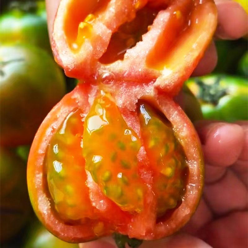 【顺丰包邮】草莓西红柿产地新鲜应季现摘酸甜可口铁皮柿子生吃柿子多汁自然熟水果河北省