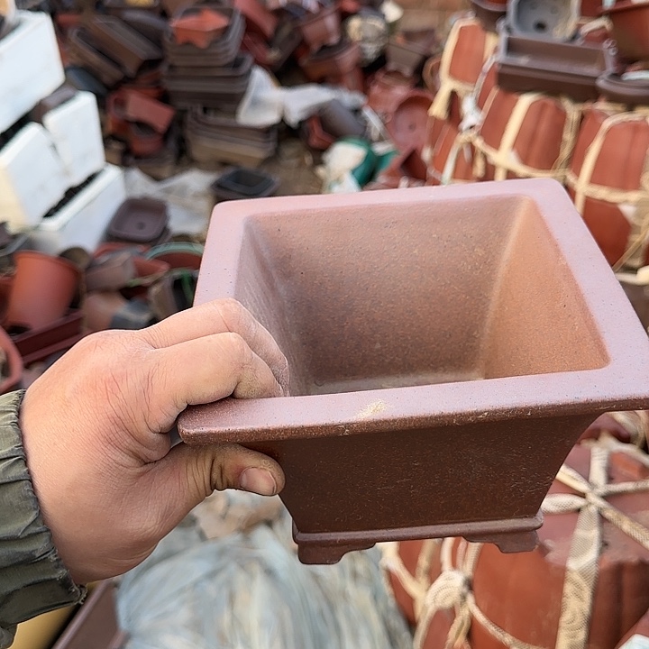 没有你也是最开心滴日子吧啊这不