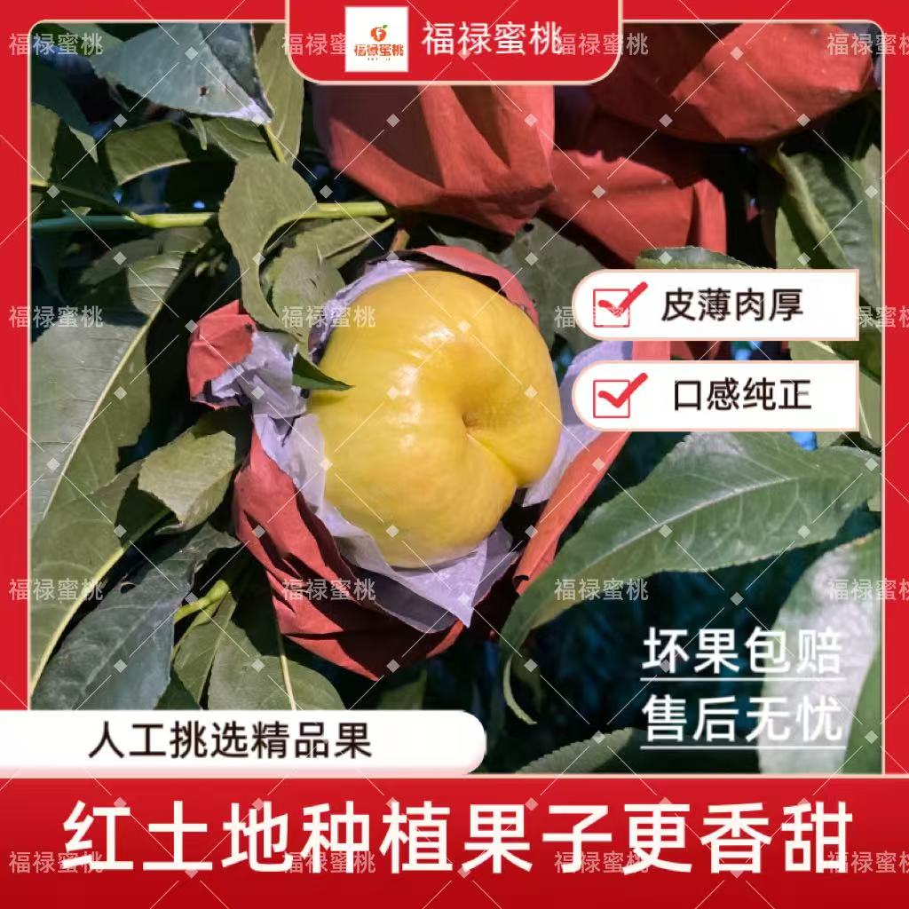【彩虹油蟠桃】新鲜应季水果香甜多汁脆软两吃 皮薄肉厚精品果