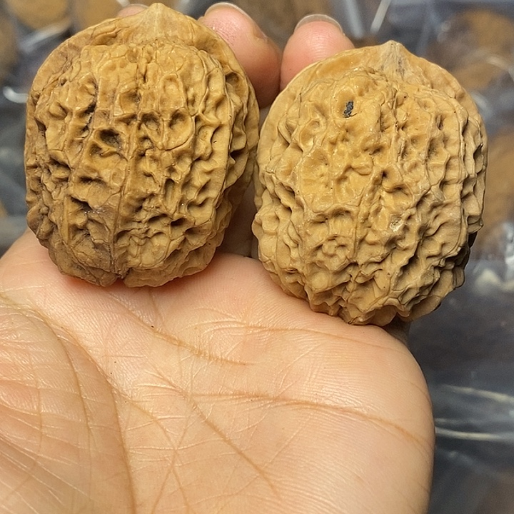 文玩核桃把件云南铁核桃37