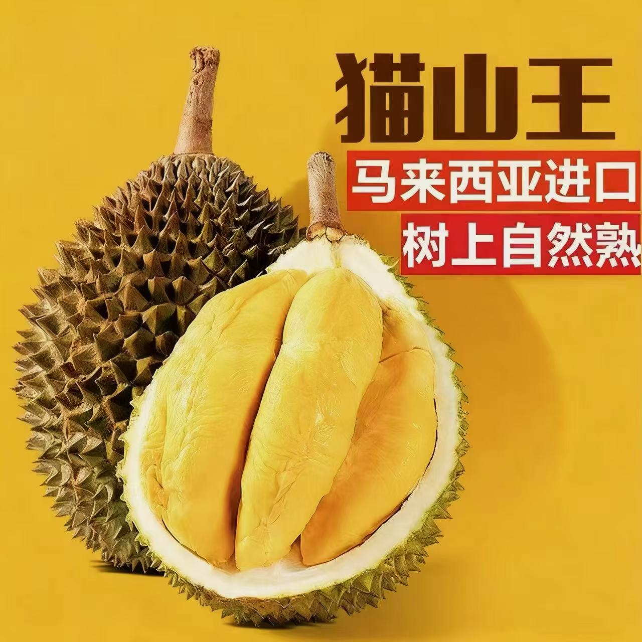 【北方市场】马来西亚D197树熟猫山王鲜榴莲【大庆同城小时达】核小/3-7斤可选猫山王马来西亚