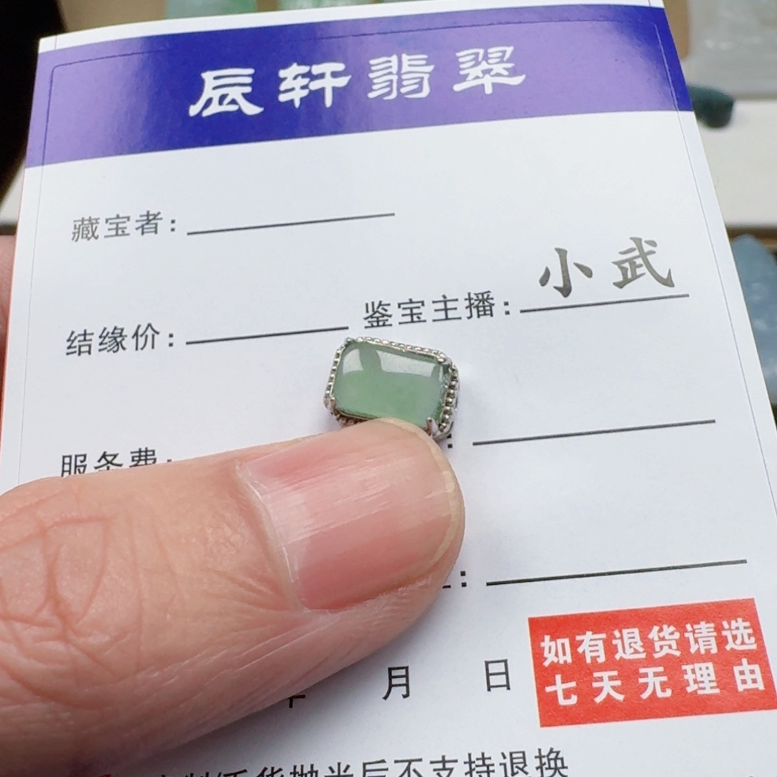 寶***️翡翠未镶嵌颈饰    3