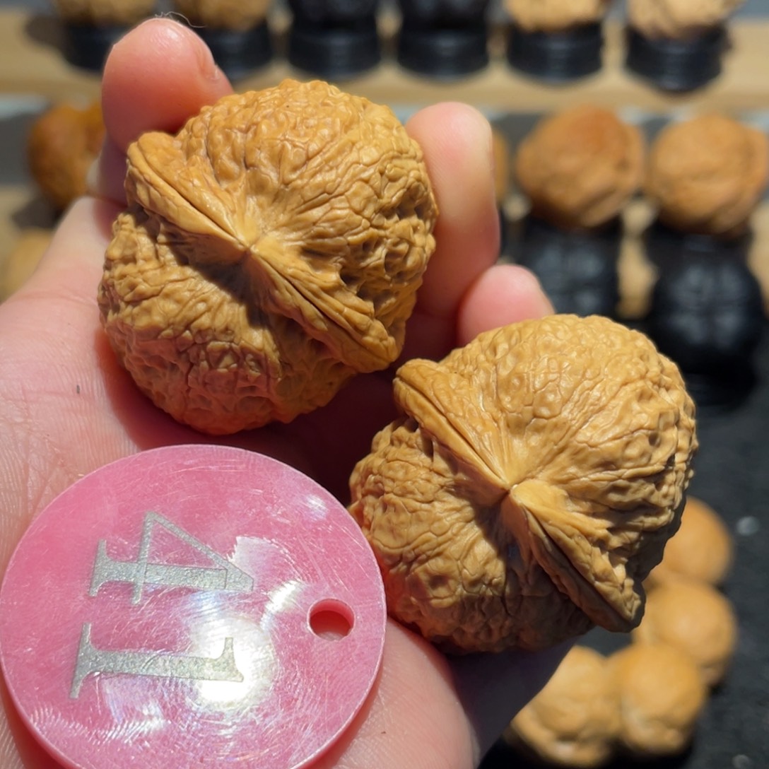 平***康精品铁狮子微彩40