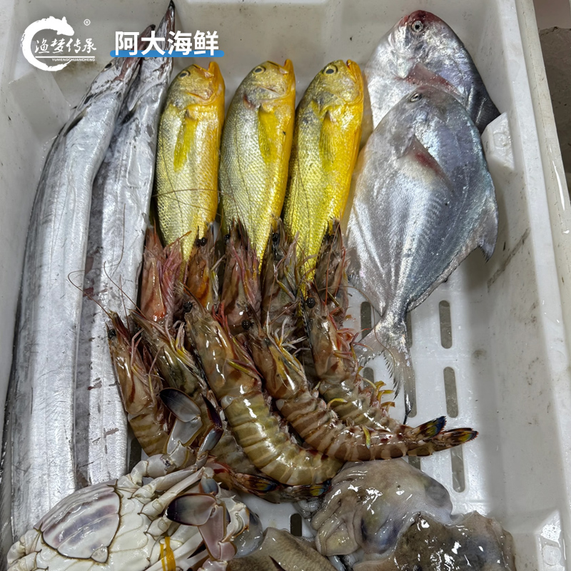 【海鲜礼包】东海三宝随心配礼盒新鲜顺丰包邮