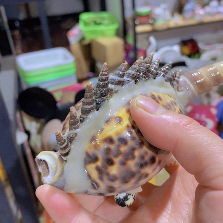 摆件陶瓷树脂家居摆件瑕疵