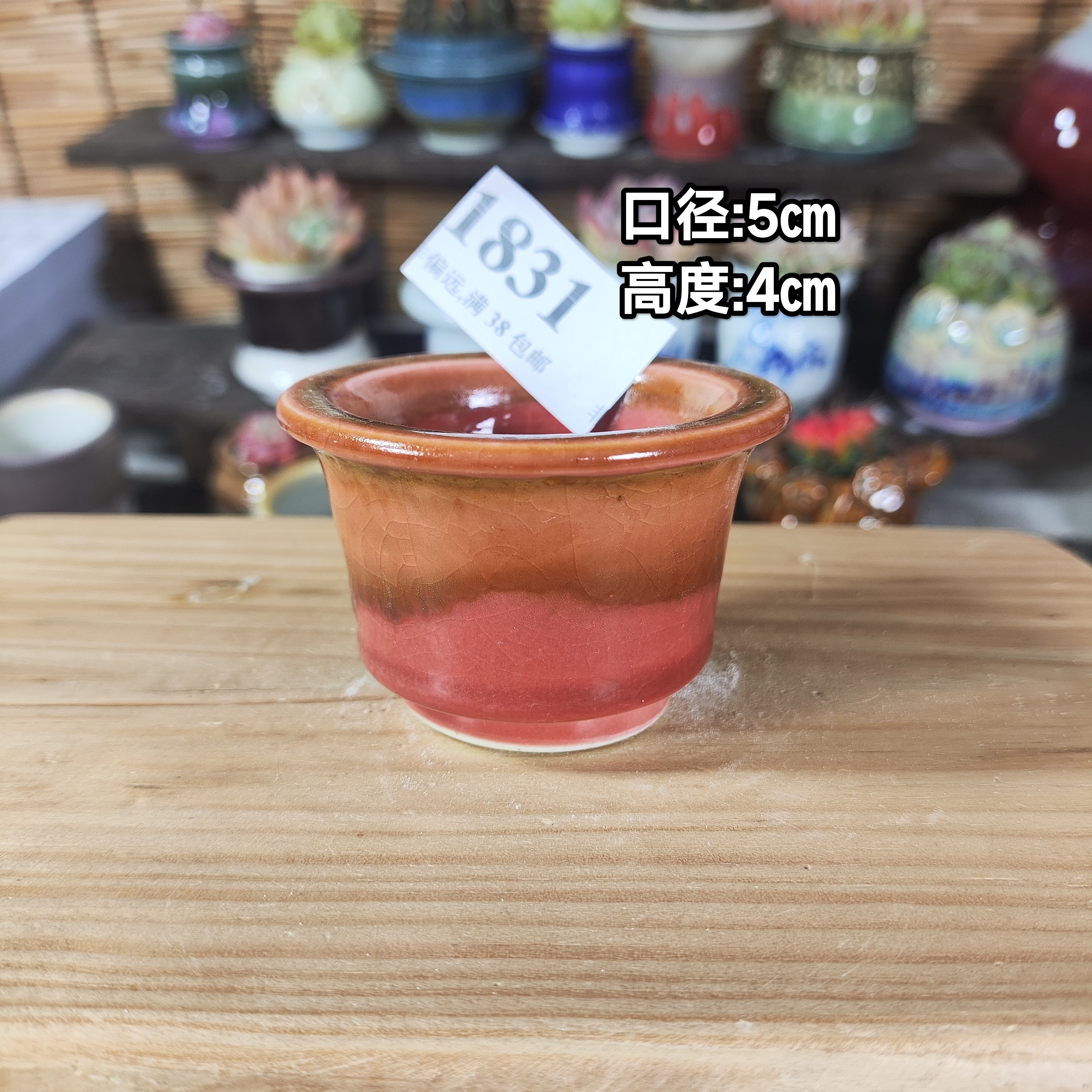 手工创意多肉花盆摆件迷你多肉花盆景德镇纯手工制做