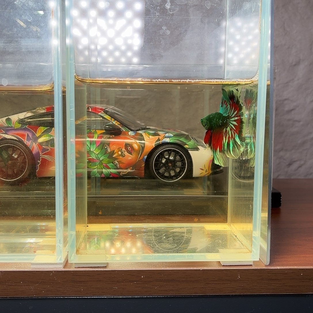 斗鱼绿魔地狱火半月