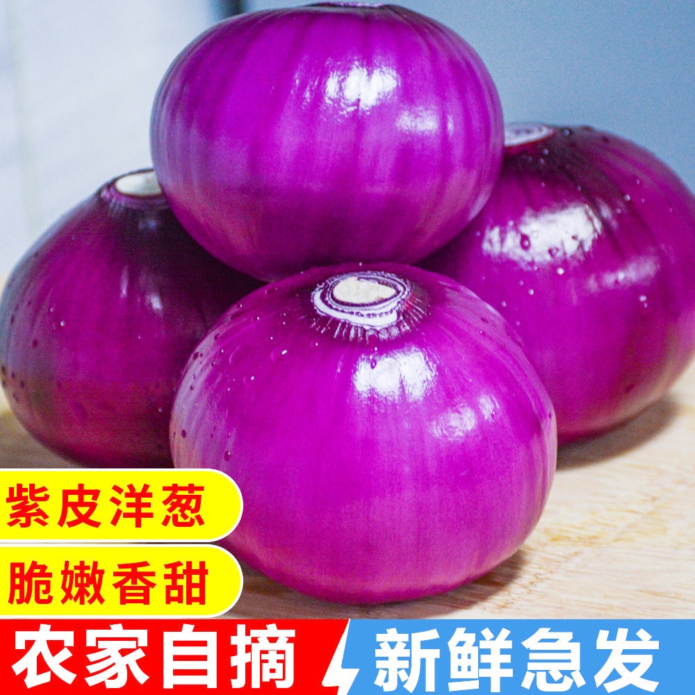 【10斤太便宜】山东紫皮洋葱新鲜脆甜水果洋葱圆葱蔬菜当季现挖葱