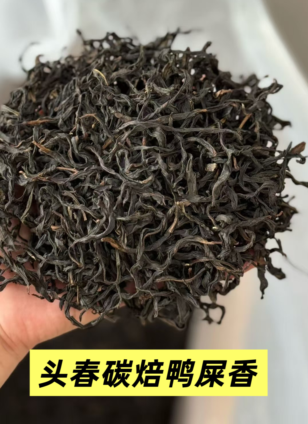 【正春炭焙鸭屎香】凤凰单丛鸭屎香中熟火高香甘爽潮州特产乌龙茶