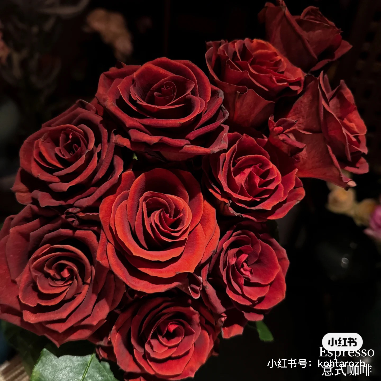 【帝王】咖啡屋 拍下三单及以上顺丰空运包邮10支装%20不售后