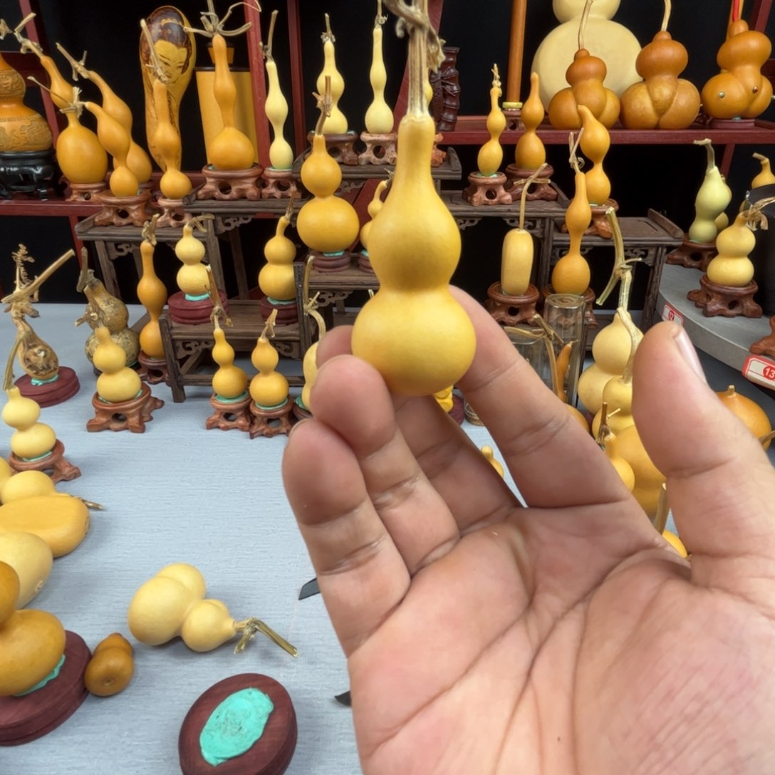 虎***藤木我的小可爱，一点也不像个女孩