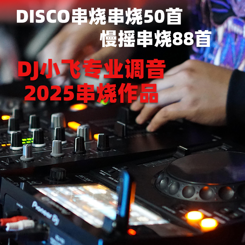 【DJ小飞串烧作品】2025年抖音热门歌曲无损DJ舞曲 优盘车载音乐U盘