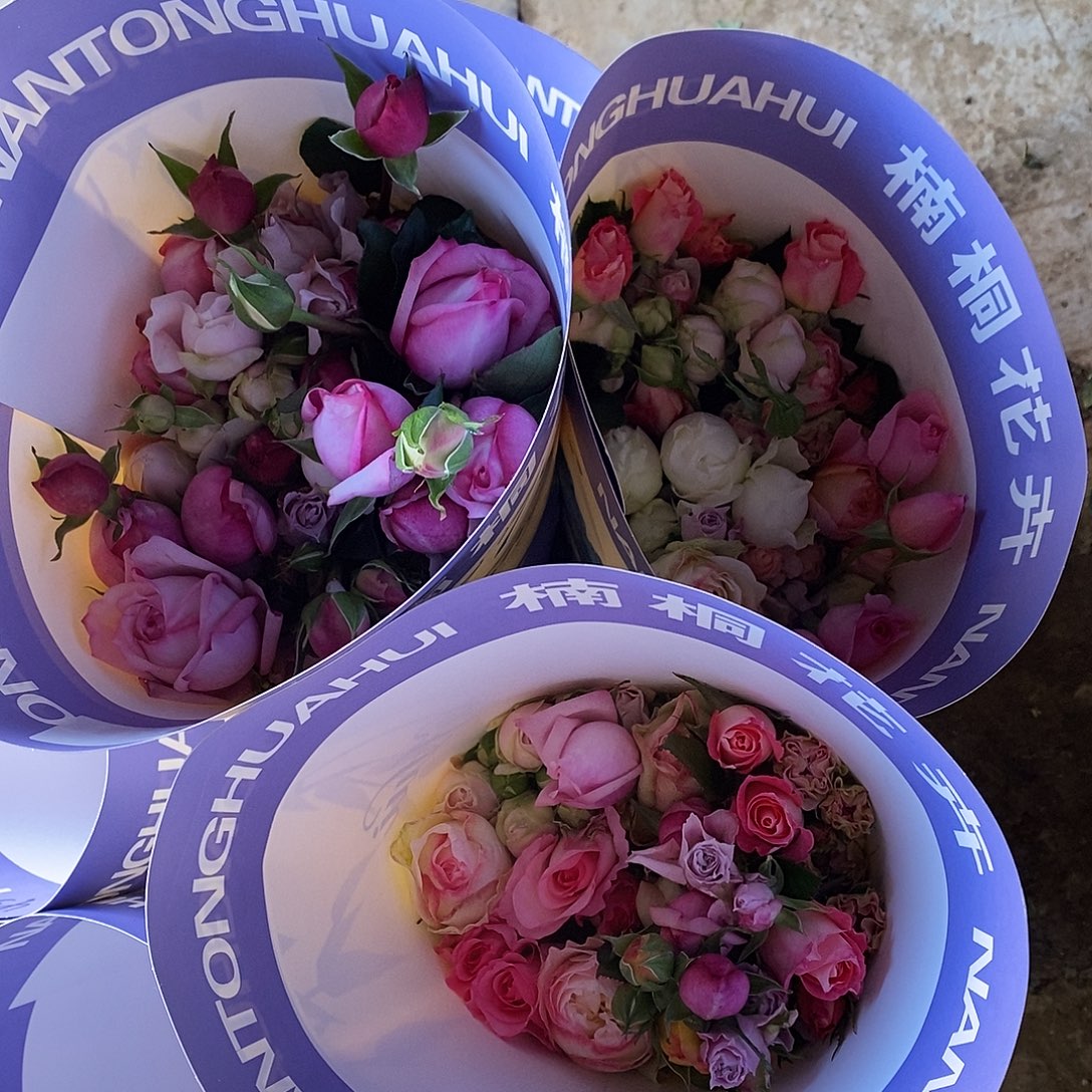 10支 混色多头玫瑰55-65cm/不包邮