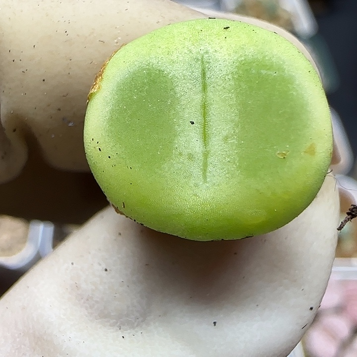 1237福利福利福利