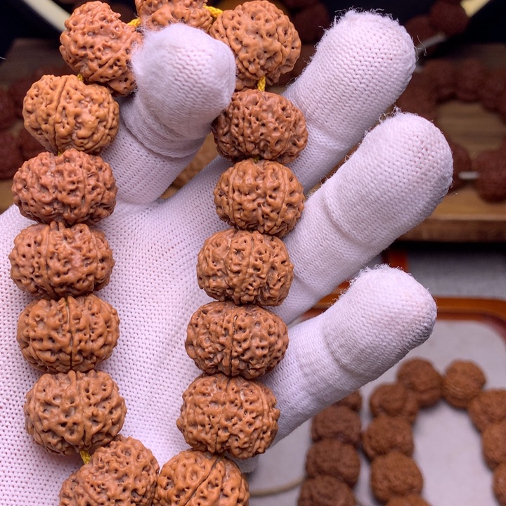 手串金刚菩提古龙梅花