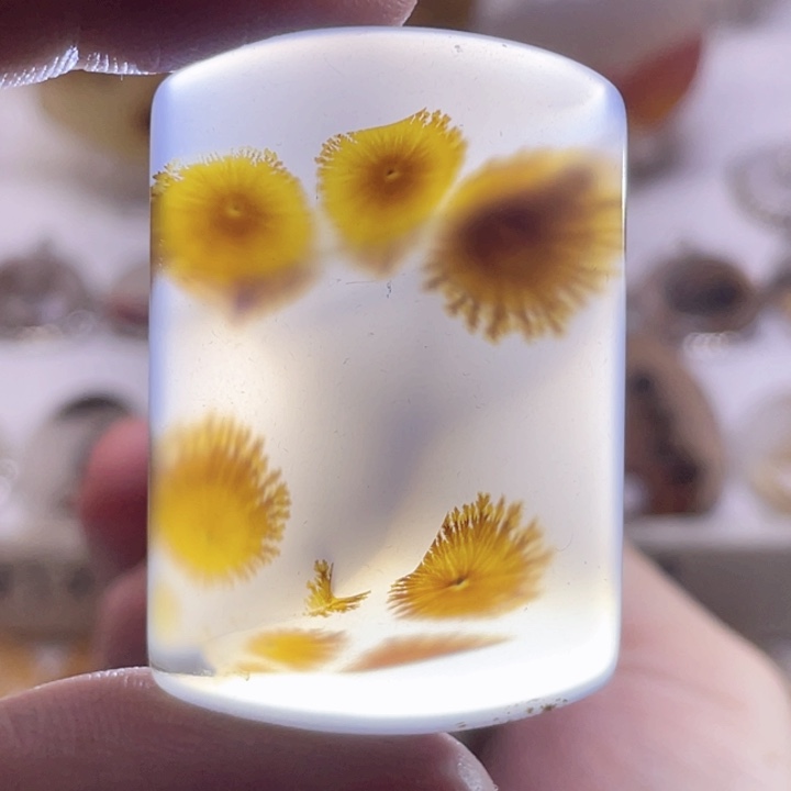 玛瑙/玉髓未镶嵌珠宝奇石