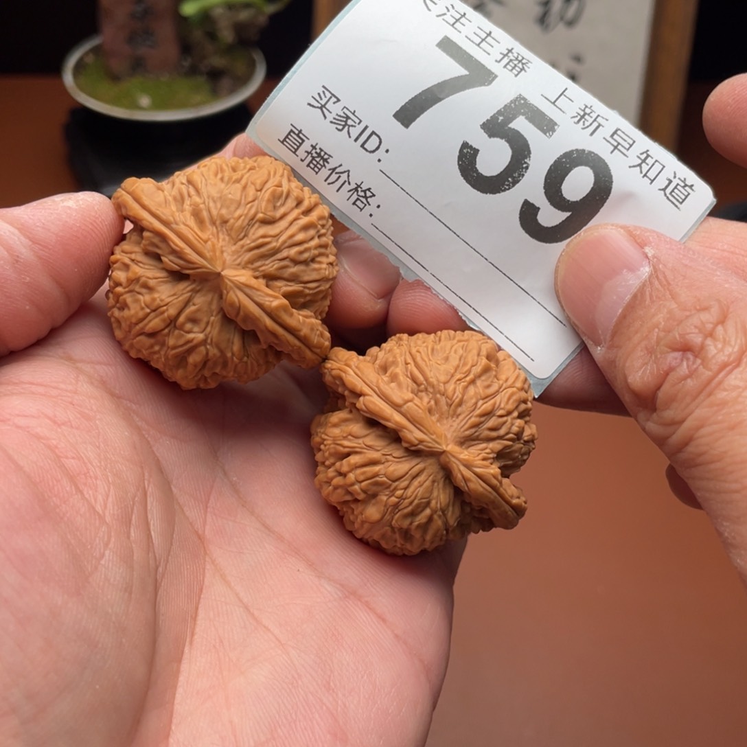 文玩核桃把件白狮子闷白