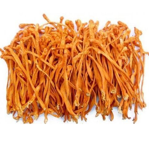 优质虫草花干货清香鲜美适合炖鸡煲汤的食材