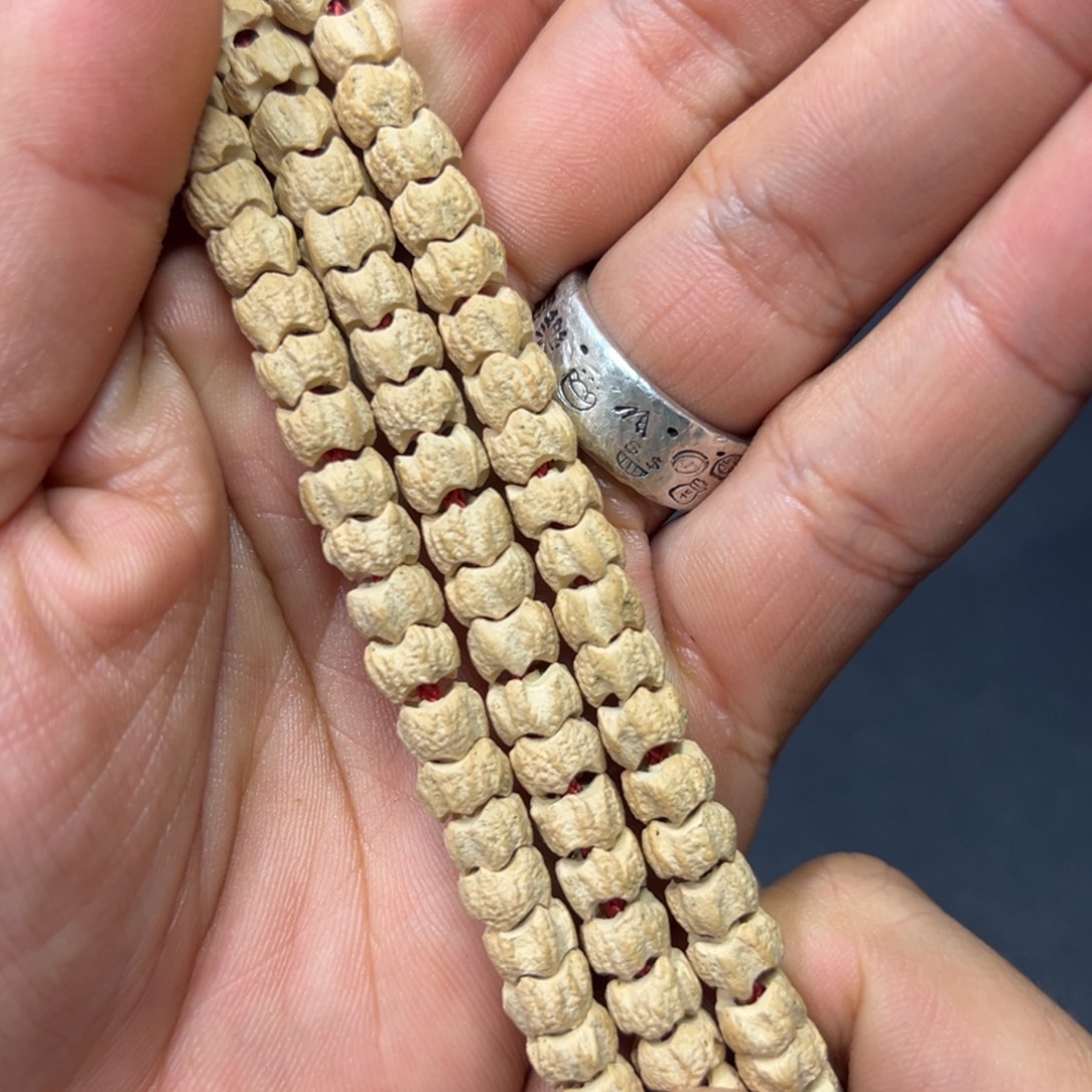 吊坠柏香籽/百香籽龙爪