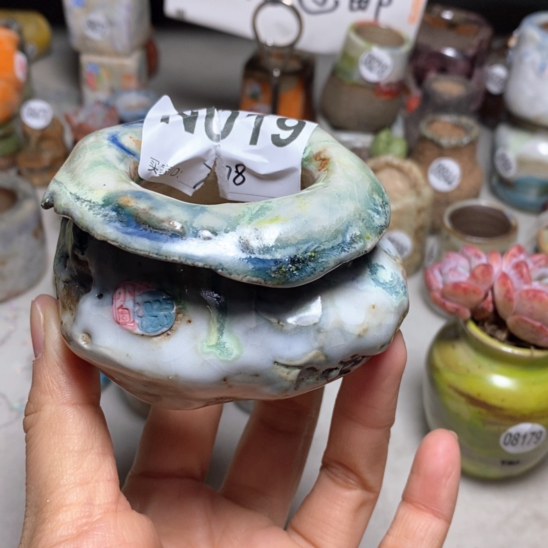 花盆拍3送一个小礼物