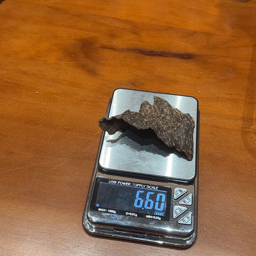 沉香碎屑沉香越南芽庄天然野沉香6.5g