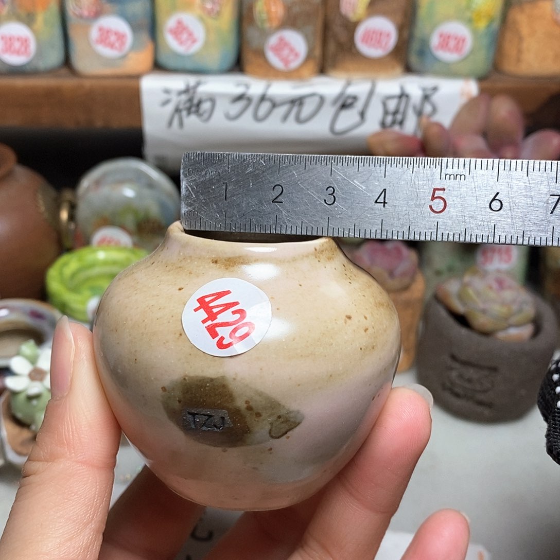 红陶拍5送一个小