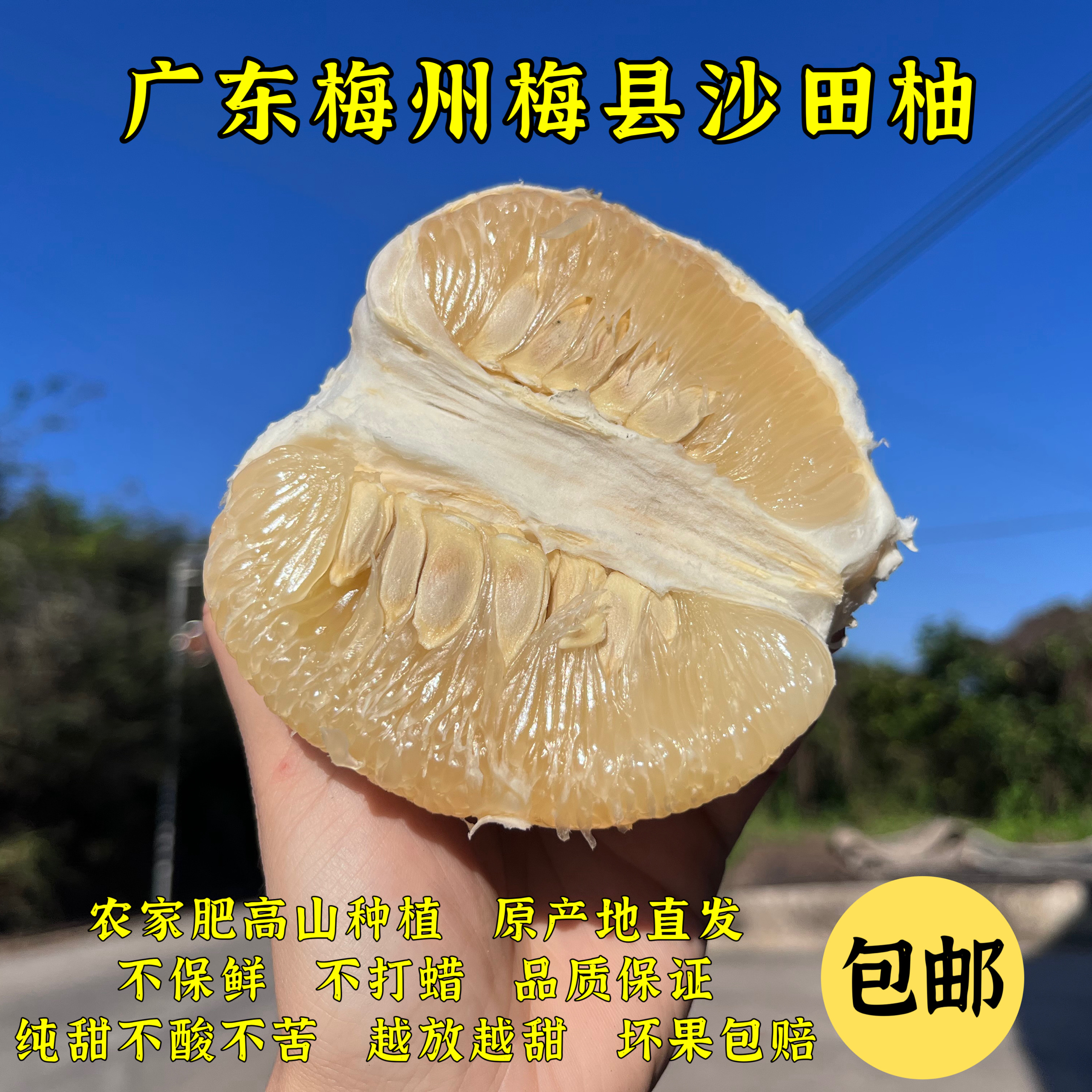 【精品果】特产正宗梅州沙田柚纯甜白心金柚当季新鲜孕妇水果非容县